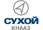 Компания Сухой